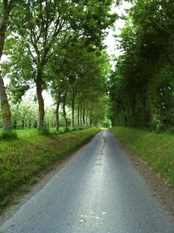 Afbeelding invoegen